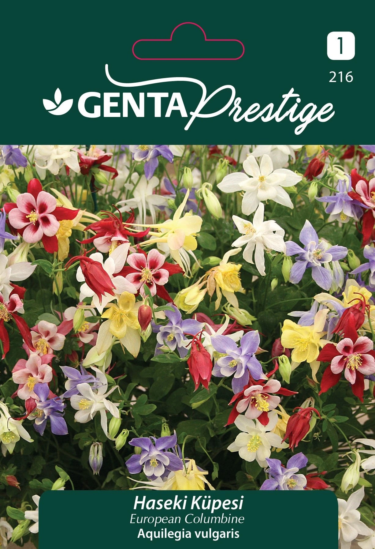 Genta Prestige Haseki Küpesi Tohumu – Renkli Columbine (Aquilegia vulgaris), Çok Yıllık Süs Bitkisi