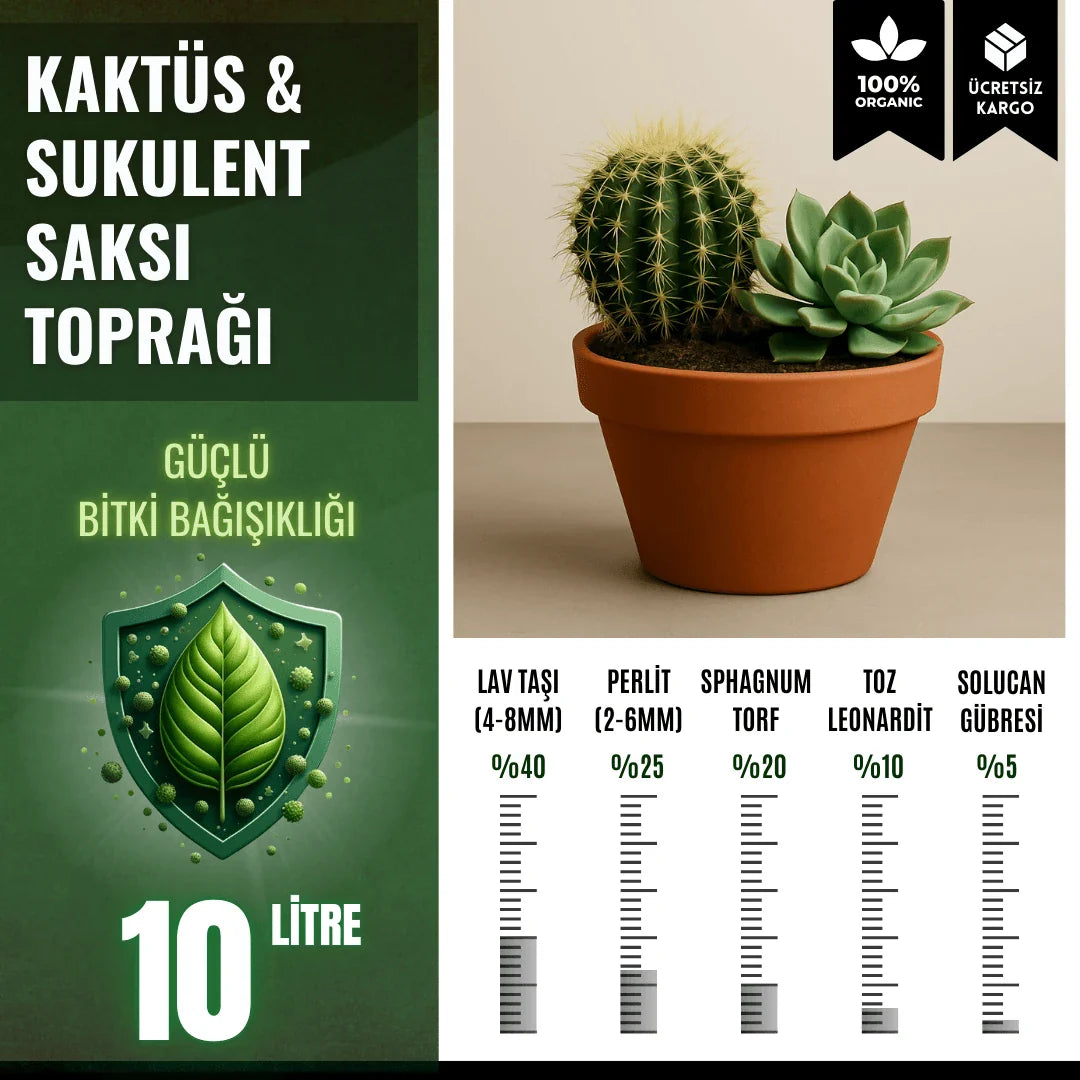 Kaktüs & Sukulent Toprağı - 10 Litre - paketli toprak karışımı görseli