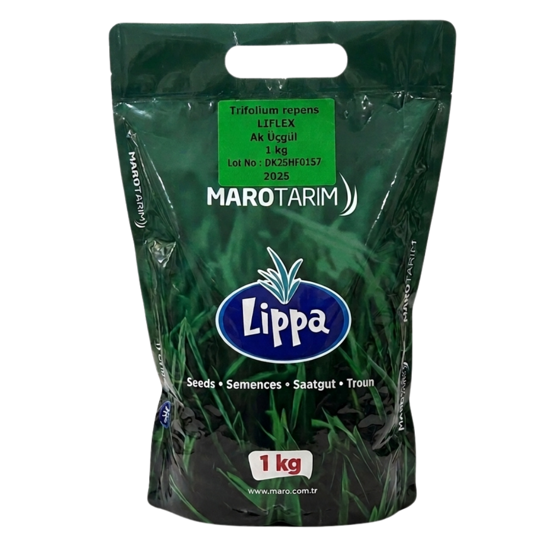 Lippa 5'li Mix İthal Gölge Çim Tohumu 1 kg