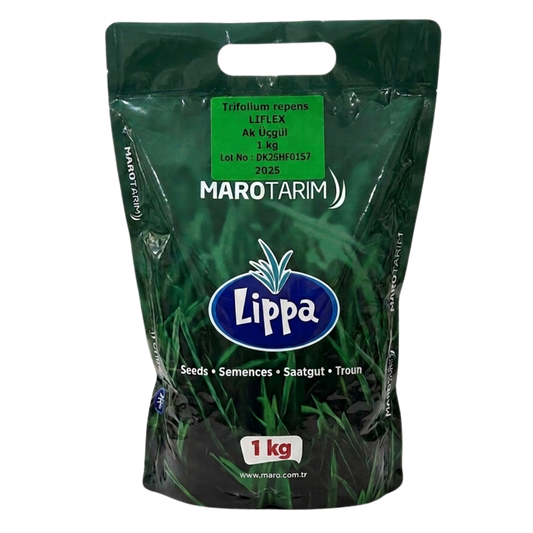 Lippa 5'li Mix İthal Gölge Çim Tohumu 1 kg