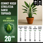 Cennet Kuşu (Strelitzia) Saksı Toprağı – 20 Litre