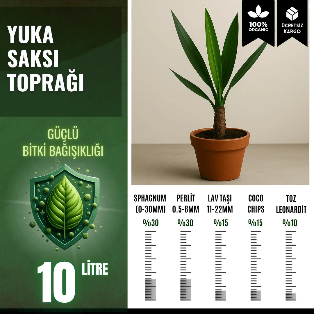 Yuka (Yucca) Bitkisi İçin Özel Toprak Karışımı