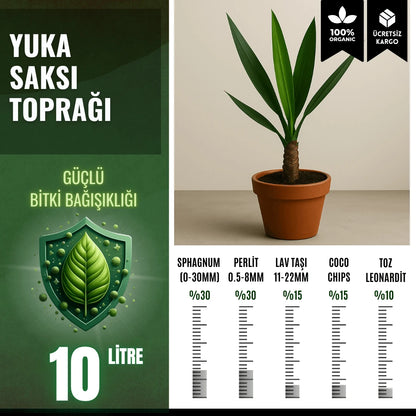 Yuka (Yucca) Bitkisi İçin Özel Toprak Karışımı