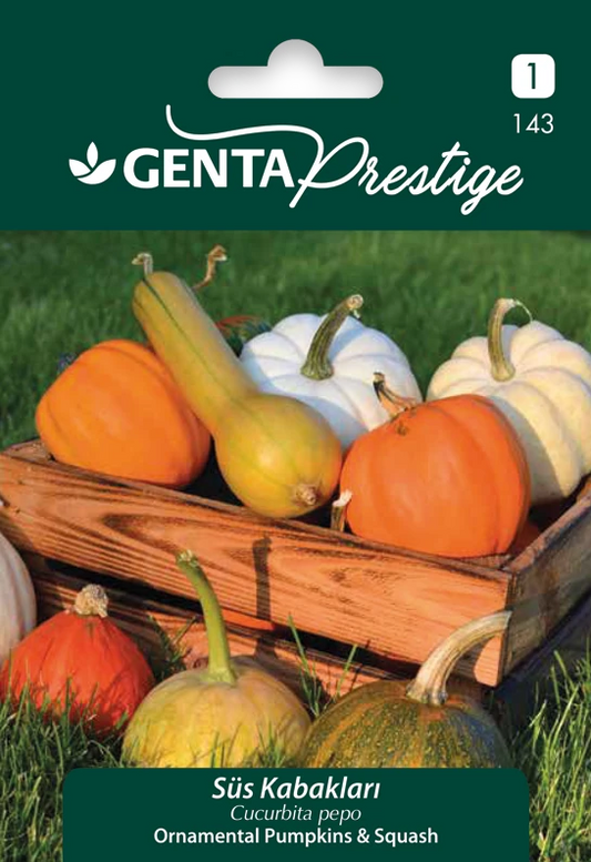 Genta Prestige Süs Kabakları Tohumu – Çeşitli Renk & Şekil, Süs ve Dekorasyon İçin Kolay Yetişen Mix
