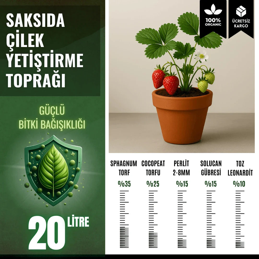 Saksıda Çilek Yetiştirme Toprağı – 20 Litre
