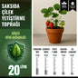 Saksıda Çilek Yetiştirme Toprağı – 20 Litre