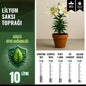 Lilyum Saksı Toprağı – 10 Litre