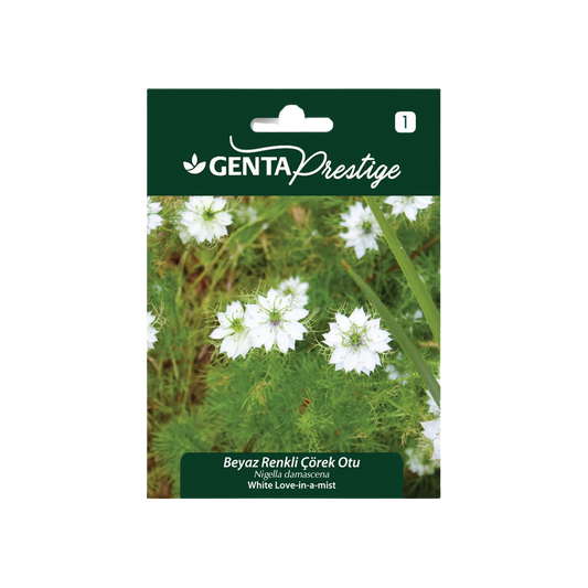 Genta Prestige Beyaz Renkli Çörek Otu Tohumu (Nigella damascena) – Lacy Cottage Garden Çiçeği