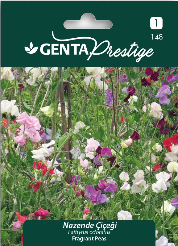 Genta Prestige Nazende Çiçeği Tohumu – Renkli Columbine (Aquilegia vulgaris), Yıllık Tırmanıcı Bitki