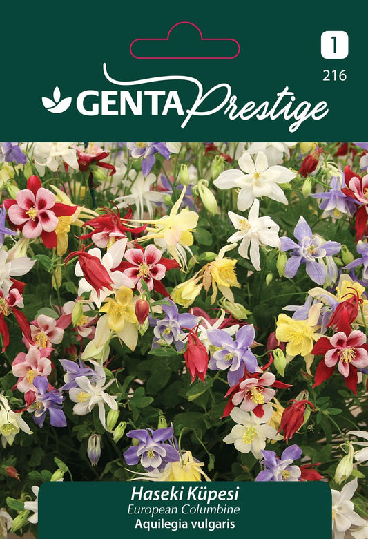 Genta Prestige Haseki Küpesi Tohumu – Renkli Columbine (Aquilegia vulgaris), Çok Yıllık Süs Bitkisi