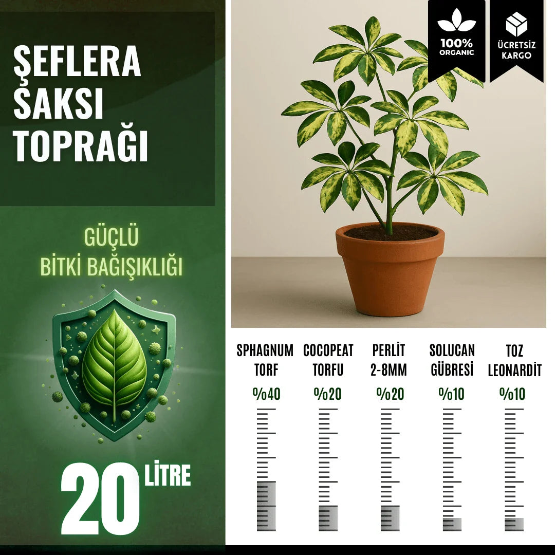 Şeflera (Schefflera) Bitkisi İçin Özel Torf Karışımı – 20 Litre