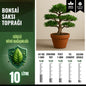 Bonsai Saksı Toprağı – 10 Litre