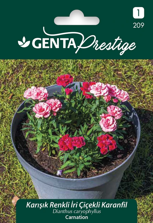 Genta Prestige Karışık Renkli İri Çiçekli Karanfil Tohumu – Kalıcı, Kokulu ve Pozitif Gelişimli Bahçe Çiçeği