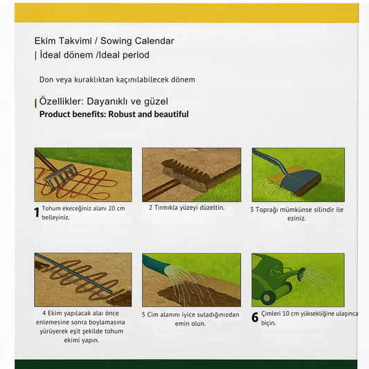 GENTA Prestige İngiliz Çimi | 40 m² | Yoğun Dokulu Estetik Çim Tohumu | English Lawn