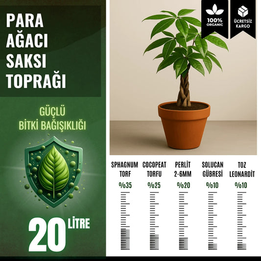 Para Ağacı Saksı Toprağı – 20 Litre