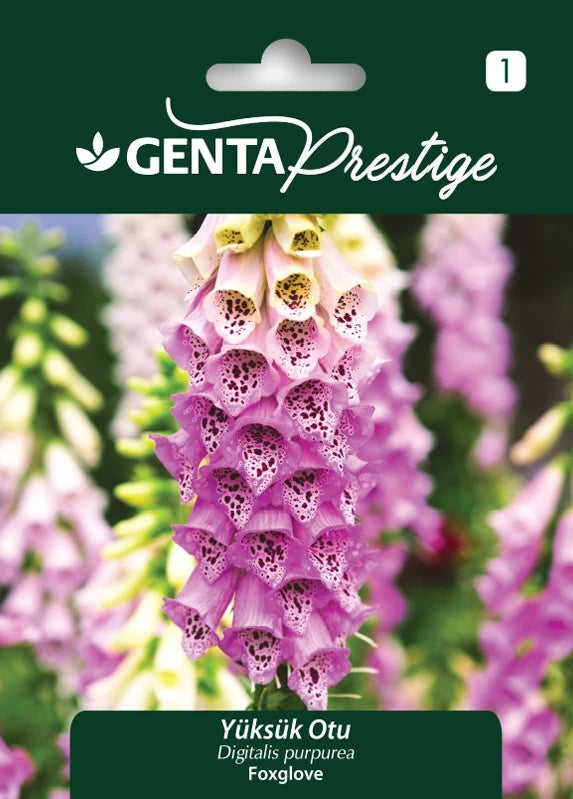 Genta Yüksük Otu Tohumu (Digitalis purpurea – Foxglove) – Uzun Boylu, Renkli Çiçekli Bahçe Bitkisi