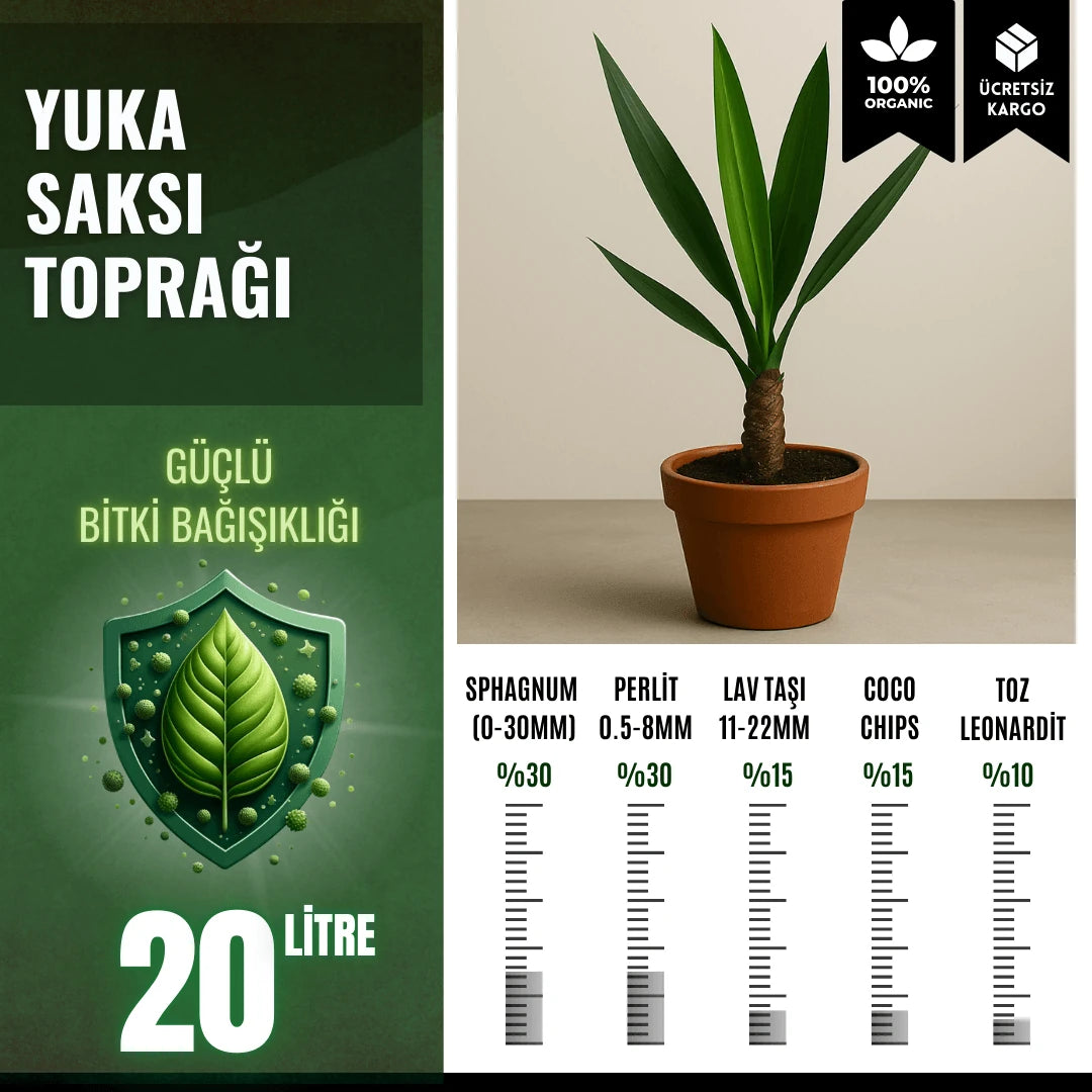 Yuka (Yucca) Bitkisi İçin Özel Toprak Karışımı