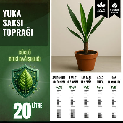 Yuka (Yucca) Bitkisi İçin Özel Toprak Karışımı