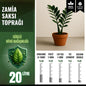 Zamia Bitkisi Saksı Toprağı – 20 Litre