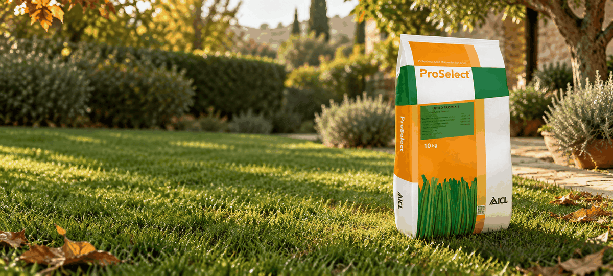 Sonbahar bahçesinde ProSelect Gold Promix 1 10 kg çim tohumu